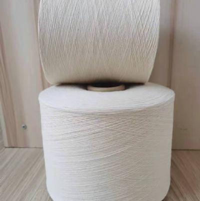 點(diǎn)擊查看詳細(xì)信息<br>標(biāo)題：反捻紗 閱讀次數(shù)：1841